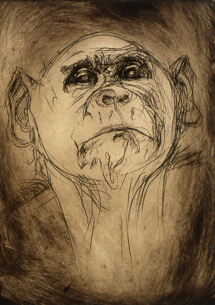 Bonobo 1A